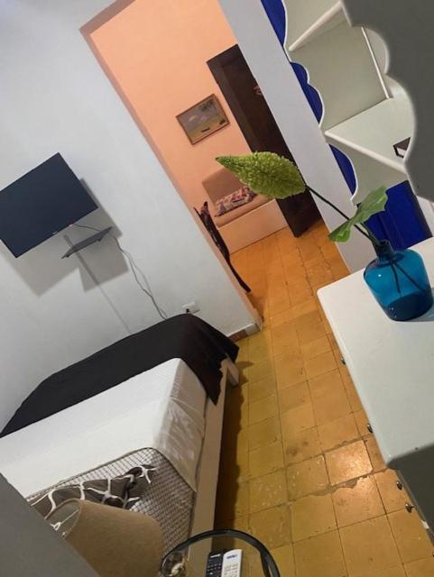 Chao Mama Hostal Santo Domingo Zewnętrze zdjęcie