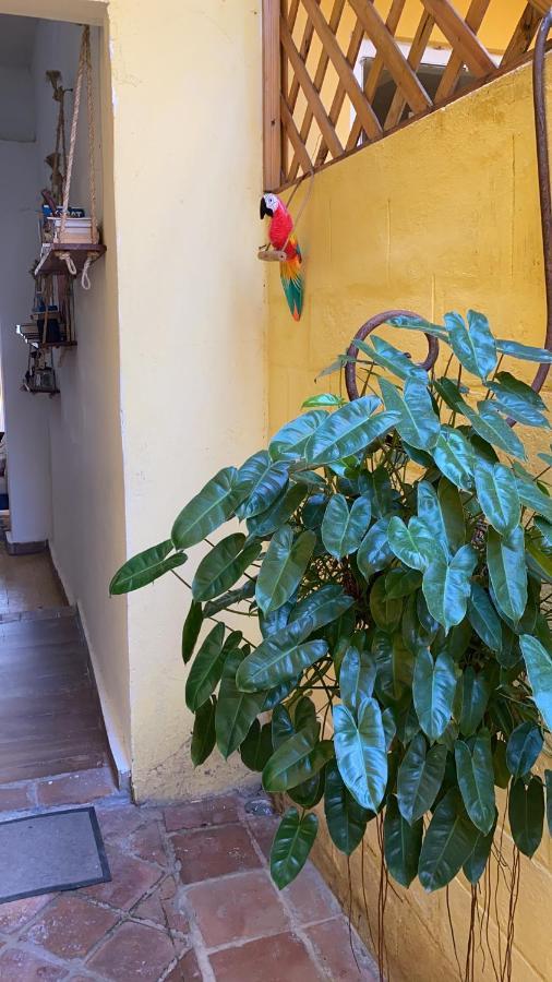 Chao Mama Hostal Santo Domingo Zewnętrze zdjęcie
